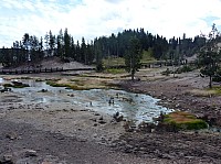 Yellowstone Mud Volcano Area (24).JPG